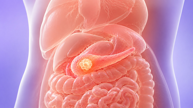 Illustration representing GLP-1 hormone response in the body following nutrient intake