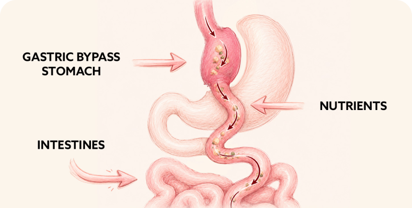 Illustration of abstract internal body processes and movement