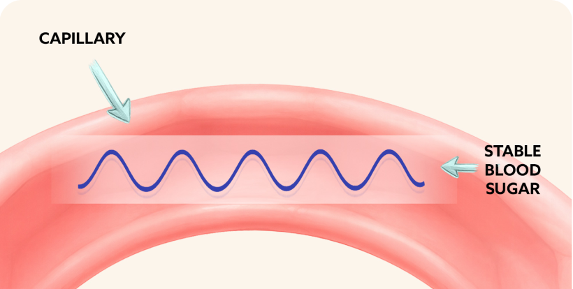 Illustration representing internal body signaling and communication processes.